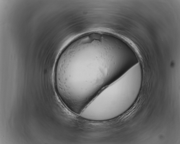 X0000096141199200801180845
