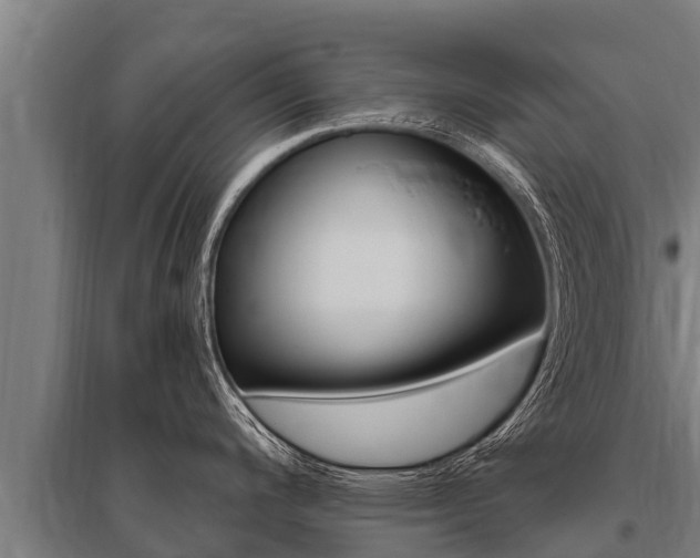 X0000096141200200801180844