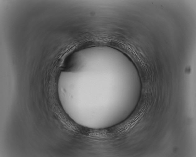 X0000096141201200801180844