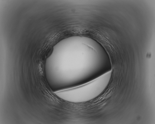 X0000096141202200801180844