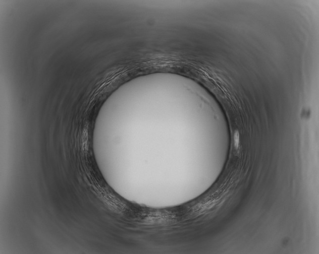 X0000096141203200801180844