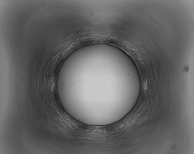 X0000096141204200801180844