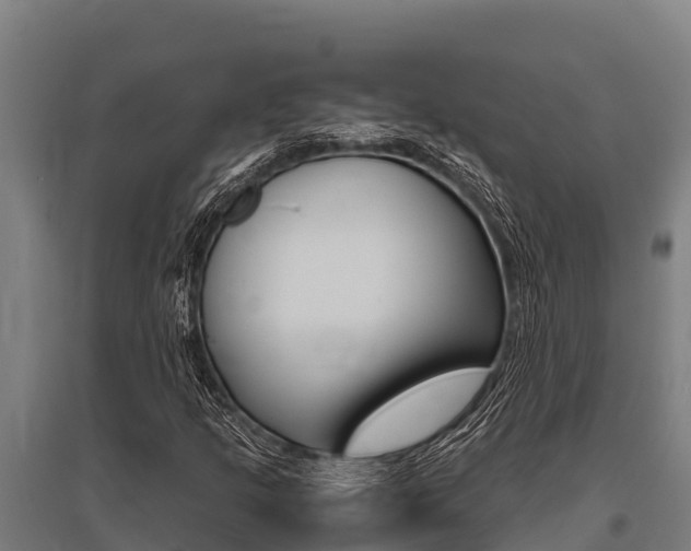 X0000096141205200801180844