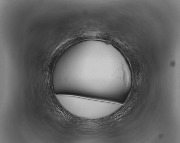 X0000096141206200801180844