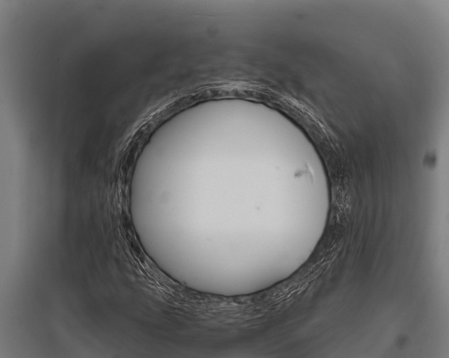 X0000096141207200801180844