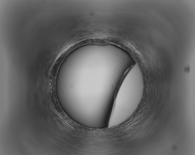 X0000096141208200801180844