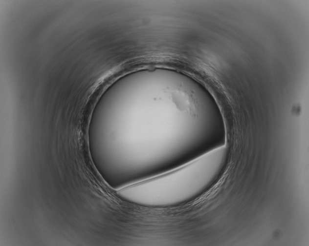 X0000096141210200801180844