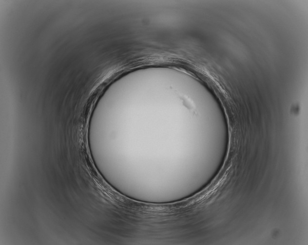 X0000096141211200801180844