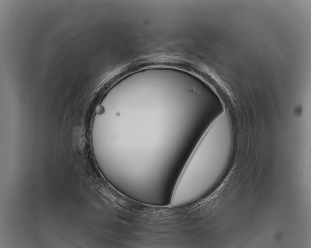 X0000096141213200801180844