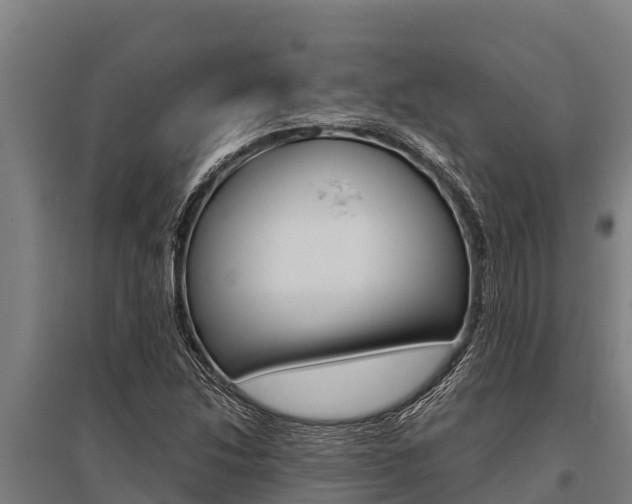 X0000096141214200801180844
