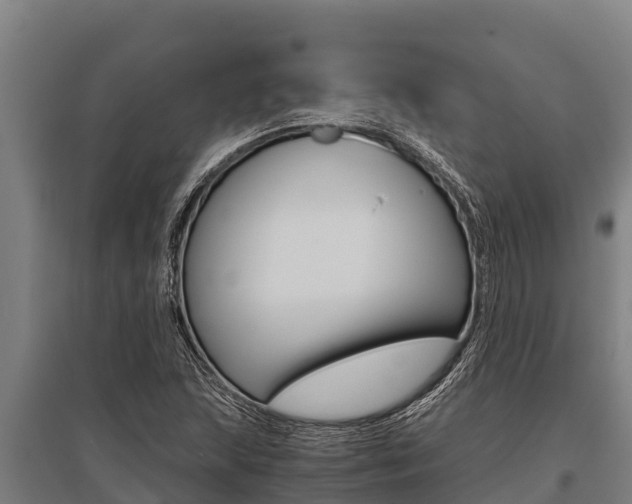 X0000096141215200801180844