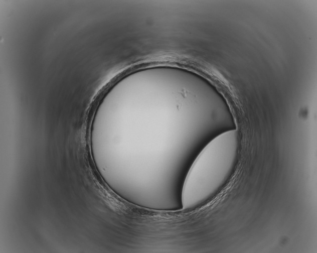 X0000096141216200801180844
