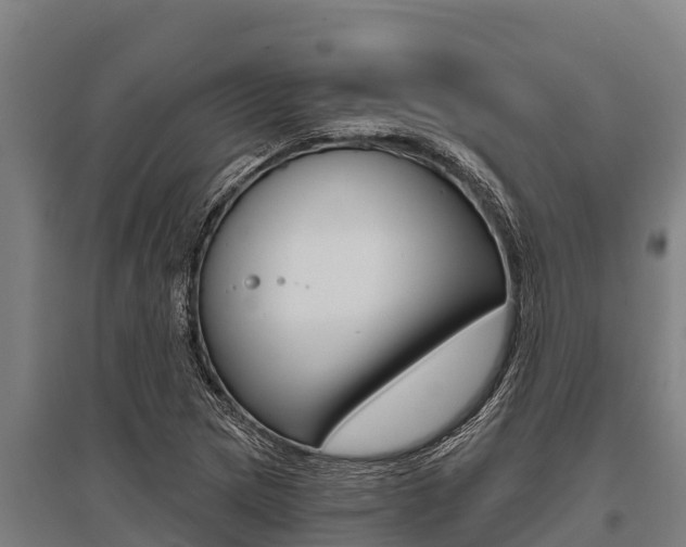 X0000096141217200801180844