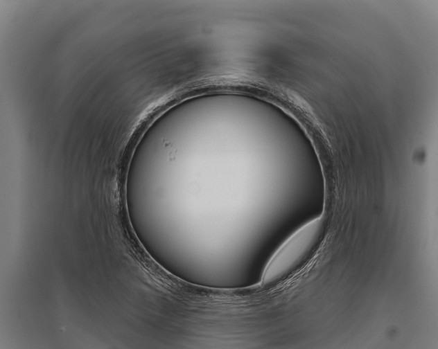 X0000096141218200801180844