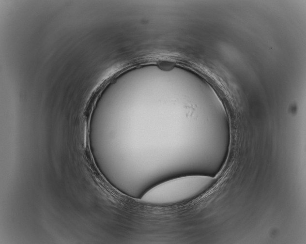 X0000096141219200801180844