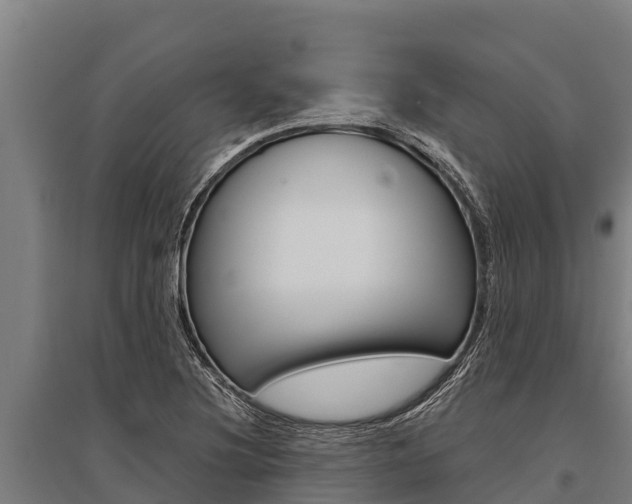 X0000096141220200801180844
