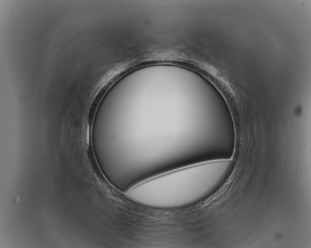 X0000096141221200801180844