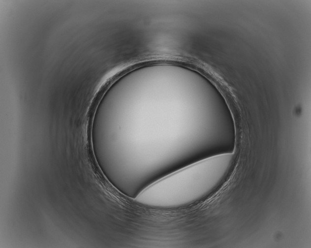 X0000096141222200801180844