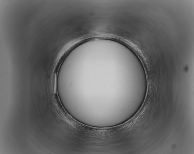 X0000096141223200801180844