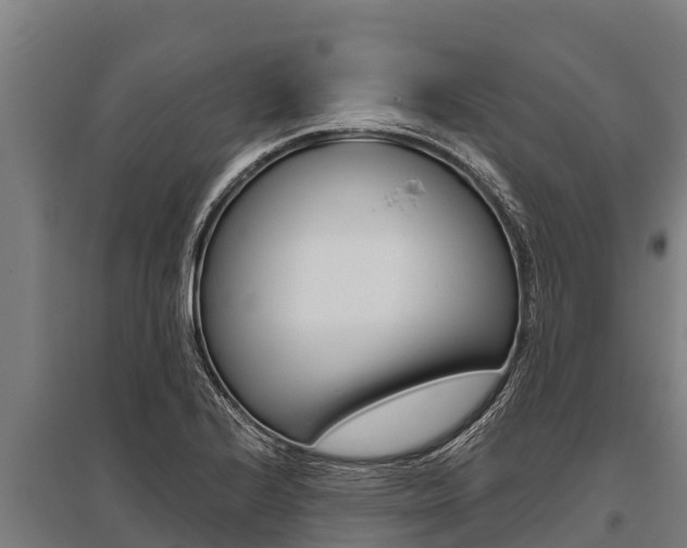 X0000096141224200801180844