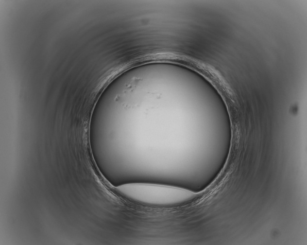 X0000096141225200801180844