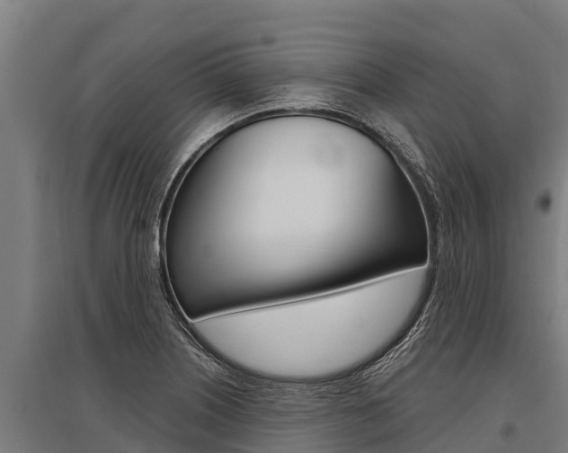 X0000096141226200801180844