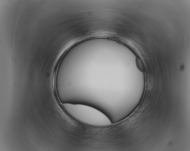 X0000096141227200801180844