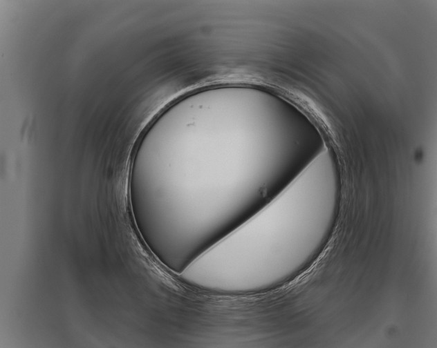 X0000096141228200801180844