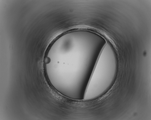 X0000096141229200801180844