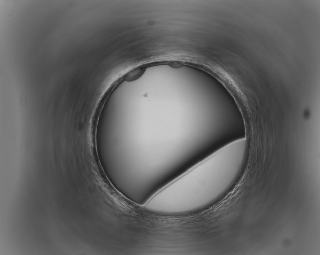 X0000096141230200801180844