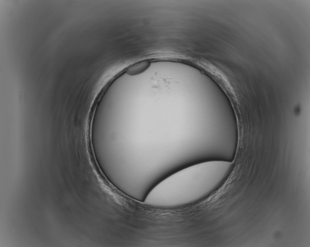 X0000096141231200801180844