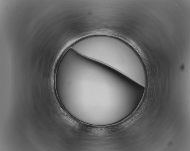 X0000096141232200801180844