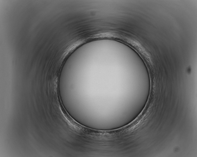 X0000096141233200801180844