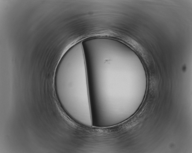 X0000096141234200801180844