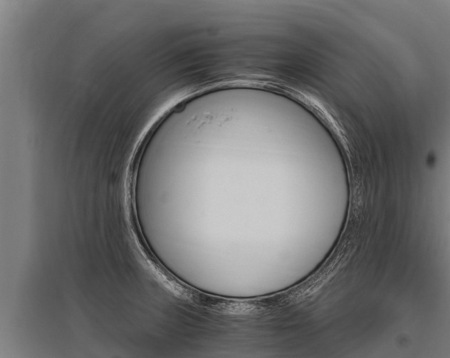 X0000096141235200801180844