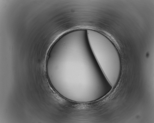 X0000096141236200801180844