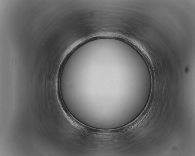 X0000096141237200801180844