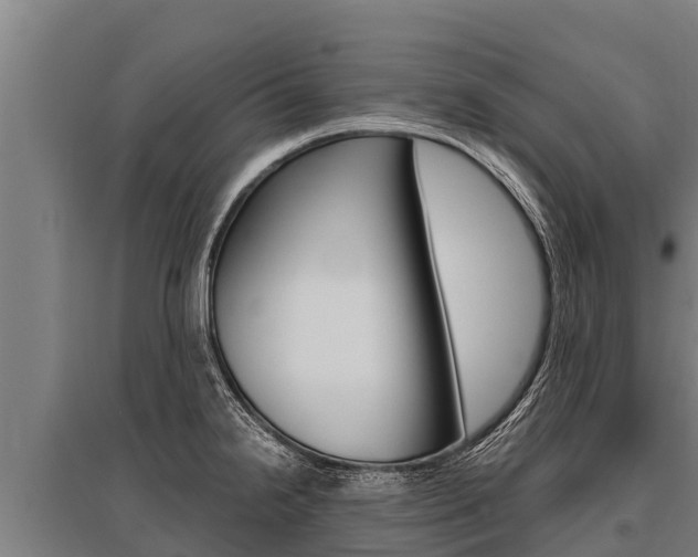 X0000096141238200801180844