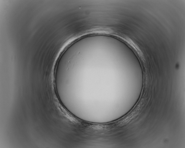 X0000096141240200801180844