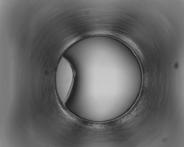 X0000096141241200801180844