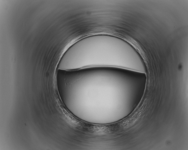 X0000096141242200801180844