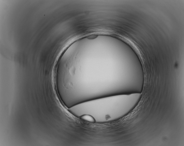 X0000096141243200801180844