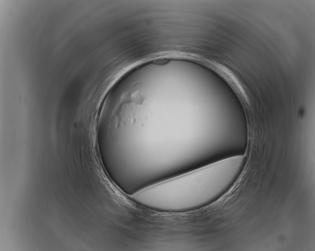 X0000096141244200801180844