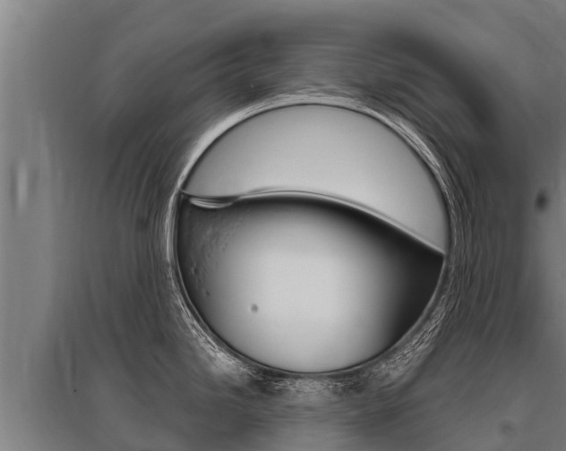 X0000096141246200801180844