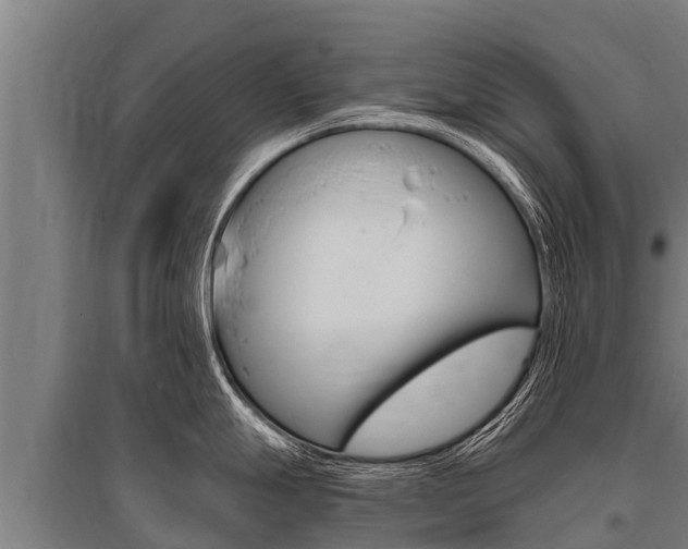 X0000096141247200801180844