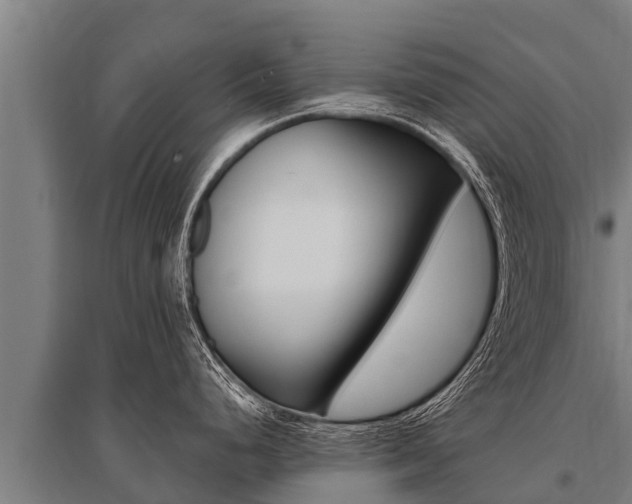 X0000096141248200801180844