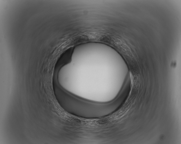 X0000096141249200801180844