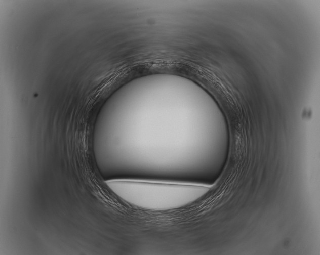 X0000096141250200801180844