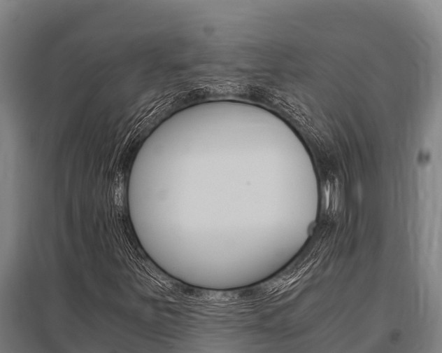 X0000096141251200801180844