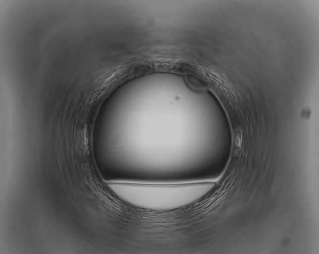 X0000096141252200801180844